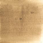 Dye mushroom: Tapinella atrotomentosa (Velvet pax foot), Pigment: alum