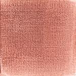 Dye mushroom: Cortinarius semisanguineus (Surprise Web Cap), Pigment: alum