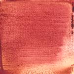 Dye mushroom: Cortinarius neosanguines (Western Blood Red Cort), Pigment: citric acid