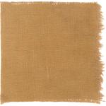 Dye mushroom: Pisolithus tinctorius (Dyer's Puffball), Fiber: linen, Mordent: titanium oxalate