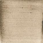 Dye mushroom: Sarcadon stereosarcinon (Stereo Tooth), Pigment: base