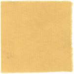 Dye mushroom: Hypholoma fasciculare (Sulfur Tuft), Fiber: wool, Mordent: alum