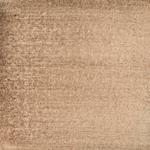 Dye mushroom: Sarcadon stereosarcinon (Stereo Tooth), Pigment: citric acid