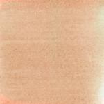 Dye mushroom: Pycnoporellus alboluteus (Orange Sponge Polypore), Pigment: copper acetate