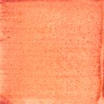 Dye mushroom: Hypomyces lactifluorum (Lobster Mushroom), Pigment: citric acid