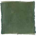 Dye mushroom: Hydnellum fuscoindicum (Violet Hedgehog), Fiber: wool, Mordent: tin