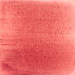 Dye mushroom: Cortinarius sanguineus (Blood Red Webcap), Pigment: citric acid