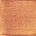 Dye mushroom: Echinodontium tinctorium (Indian Paint Fungus), Pigment: iron