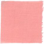 Dye mushroom: Cortinarius neosanguines (Western Blood Red Cort), Fiber: linen, Mordent: titanium oxalate