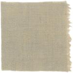 Dye mushroom: Tapinella atrotomentosa (Velvet pax foot), Fiber: linen, Mordent: aluminum acetate