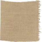 Dye mushroom: Boletus edulis var. edulis (King Bolete, Porcini), Fiber: linen, Mordent: iron