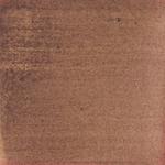 Dye mushroom: Echinodontium tinctorium (Indian Paint Fungus), Pigment: iron