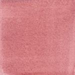 Dye mushroom: Cortinarius uliginosus (Marsh Web Cap), Pigment: soda ash