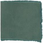 Dye mushroom: Sarcadon stereosarcinon (Stereo Tooth), Fiber: wool, Mordent: iron