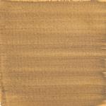 Dye mushroom: Boletus rex veris (Spring King Bolete), Pigment: iron