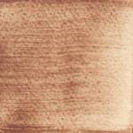 Dye mushroom: Echinodontium tinctorium (Indian Paint Fungus), Pigment: copper acetate