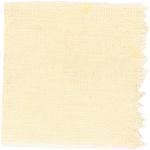 Dye mushroom: Boletus rex veris (Spring King Bolete), Fiber: linen, Mordent: aluminum acetate