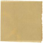 Dye mushroom: Gymnopilus ventricosus (Western Jumbo Gym), Fiber: wool, Mordent: iron