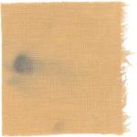 Dye mushroom: Pycnoporellus alboluteus (Orange Sponge Polypore), Fiber: linen, Mordent: iron