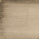 Dye mushroom: Sarcadon stereosarcinon (Stereo Tooth), Pigment: alum