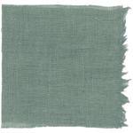 Dye mushroom: Hydnellum peckii (Bleeding Tooth), Fiber: linen, Mordent: aluminum acetate