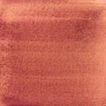 Dye mushroom: Cortinarius sanguineus (Blood Red Webcap), Pigment: iron