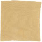 Dye mushroom: Neoboletus praestigator (Scarletina Bolete), Fiber: silk, Mordent: iron