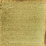 Dye mushroom: Hydnellum squamosus (Scaly Tooth), Pigment: copper acetate