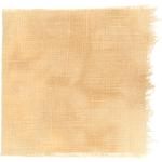 Dye mushroom: Aureoboletus mirabilis (Admirable Bolete), Fiber: linen, Mordent: titanium oxalate