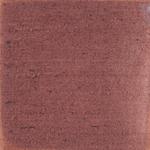 Dye mushroom: Echinodontium tinctorium (Indian Paint Fungus), Pigment: soda ash