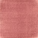 Dye mushroom: Cortinarius semisanguineus (Surprise Web Cap), Pigment: soda ash