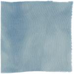 Dye mushroom: Hydnellum caeruleum (Blue Orange Hydnellum), Fiber: silk, Mordent: tin