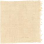 Dye mushroom: Boletus edulis var. edulis (King Bolete, Porcini), Fiber: linen, Mordent: aluminum acetate