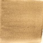 Dye mushroom: Tapinella atrotomentosa (Velvet pax foot), Pigment: soda ash