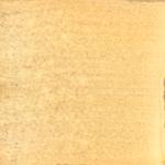 Dye mushroom: Xerocomellus zelleri (Zeller's bolete), Pigment: iron