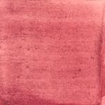 Dye mushroom: Cortinarius sanguineus (Blood Red Webcap), Pigment: alum