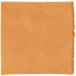 Dye mushroom: Pycnoporellus alboluteus (Orange Sponge Polypore), Fiber: wool, Mordent: tin