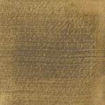 Dye mushroom: Tapinella atrotomentosa (Velvet pax foot), Pigment: iron