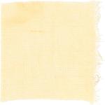 Dye mushroom: Turbinellus floccosus (Wooly Chanterelle), Fiber: linen, Mordent: titanium oxalate