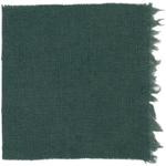 Dye mushroom: Hydnellum regium (null), Fiber: linen, Mordent: iron