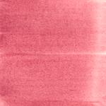 Dye mushroom: Cortinarius neosanguines (Western Blood Red Cort), Pigment: base