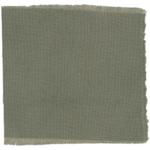 Dye mushroom: Boletopsis grisea (null), Fiber: wool, Mordent: iron