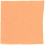 Dye mushroom: Cortinarius californicus (California Red Dye), Fiber: wool, Mordent: alum