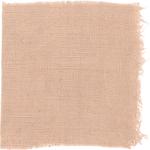 Dye mushroom: Echinodontium tinctorium (Indian Paint Fungus), Fiber: linen, Mordent: titanium oxalate