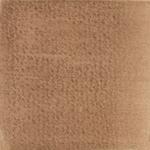 Dye mushroom: Pisolithus tinctorius (Dyer's Puffball), Pigment: copper acetate