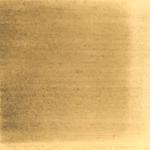 Dye mushroom: Tapinella atrotomentosa (Velvet pax foot), Pigment: iron