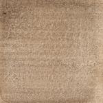 Dye mushroom: Cortinarius violaceus (Violet Webcap), Pigment: alum