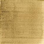 Dye mushroom: Hydnellum squamosus (Scaly Tooth), Pigment: iron