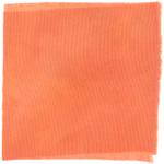 Dye mushroom: Hypomyces lactifluorum (Lobster Mushroom), Fiber: wool, Mordent: alum