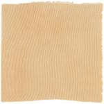 Dye mushroom: Cortinarius violaceus (Violet Webcap), Fiber: silk, Mordent: iron